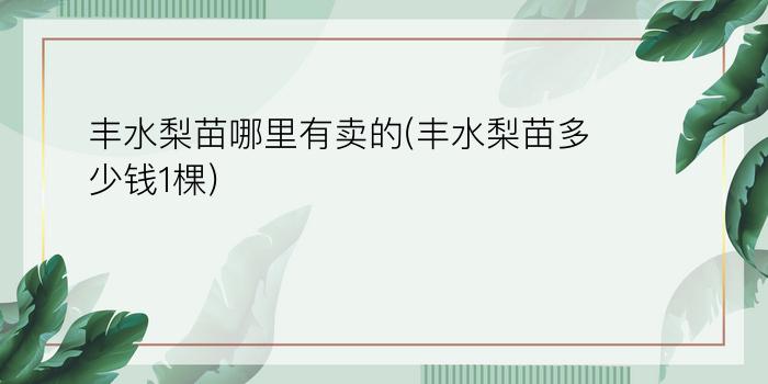 丰水梨苗哪里有卖的(丰水梨苗多少钱1棵)