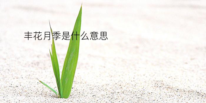 丰花月季是什么意思