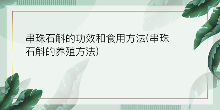 串珠石斛的功效和食用方法(串珠石斛的养殖方法)