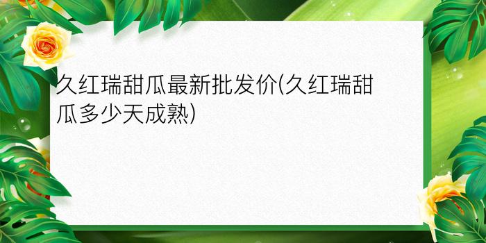 久红瑞甜瓜最新批发价(久红瑞甜瓜多少天成熟)