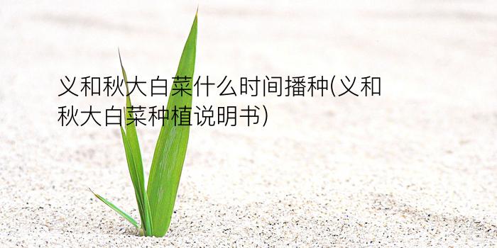 义和秋大白菜什么时间播种(义和秋大白菜种植说明书)