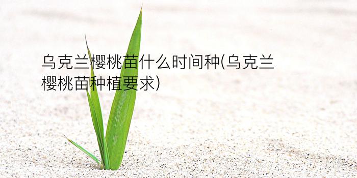 乌克兰樱桃苗什么时间种(乌克兰樱桃苗种植要求)