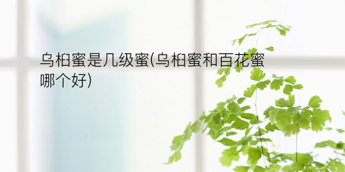 乌桕蜜是几级蜜(乌桕蜜和百花蜜哪个好)