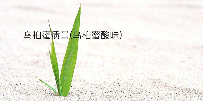 乌桕蜜质量(乌桕蜜酸味)