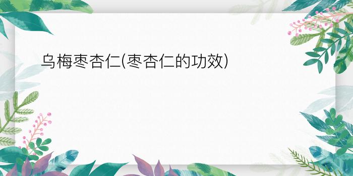 乌梅枣杏仁(枣杏仁的功效)