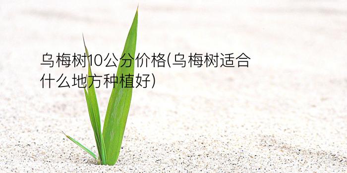 乌梅树10公分价格(乌梅树适合什么地方种植好)