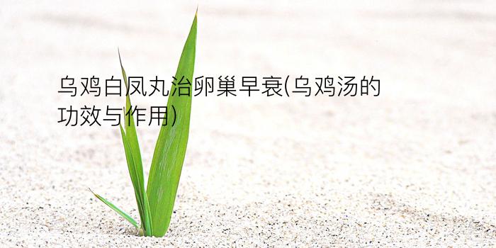 乌鸡白凤丸治卵巢早衰(乌鸡汤的功效与作用)