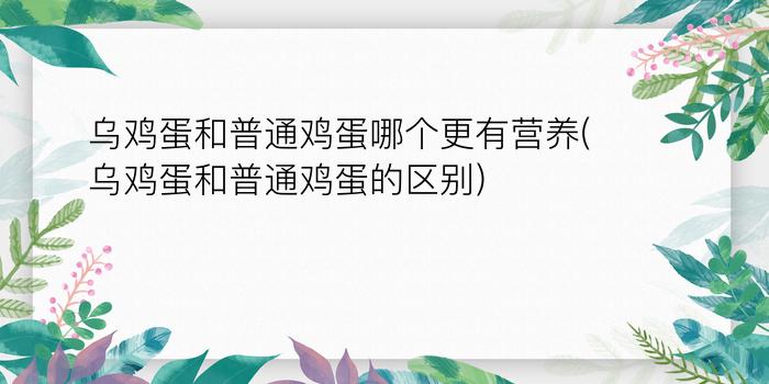 乌鸡蛋和普通鸡蛋哪个更有营养(乌鸡蛋和普通鸡蛋的区别)