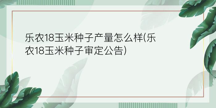 乐农18玉米种子产量怎么样(乐农18玉米种子审定公告)