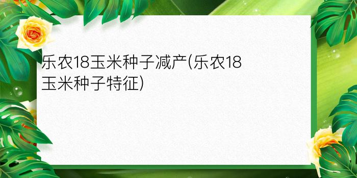 乐农18玉米种子减产(乐农18玉米种子特征)