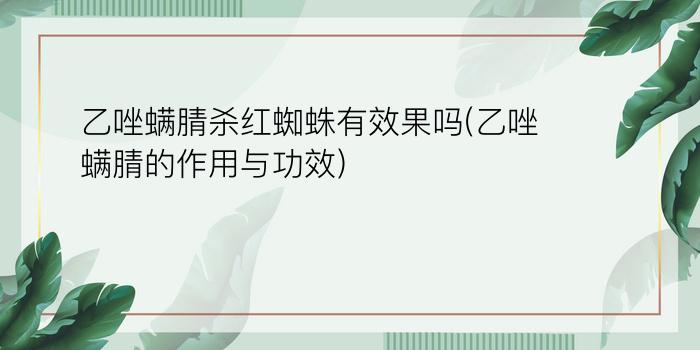 乙唑螨腈杀红蜘蛛有效果吗(乙唑螨腈的作用与功效)