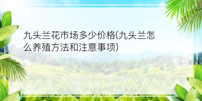 九头兰花市场多少价格(九头兰怎么养殖方法和注意事项)