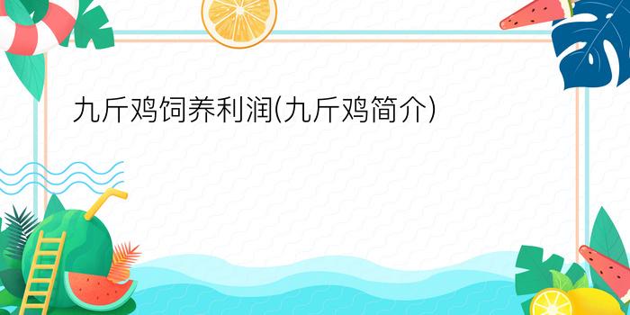 九斤鸡饲养利润(九斤鸡简介)