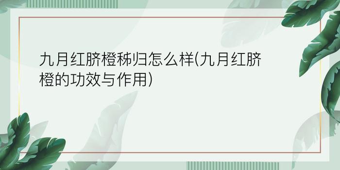 九月红脐橙秭归怎么样(九月红脐橙的功效与作用)