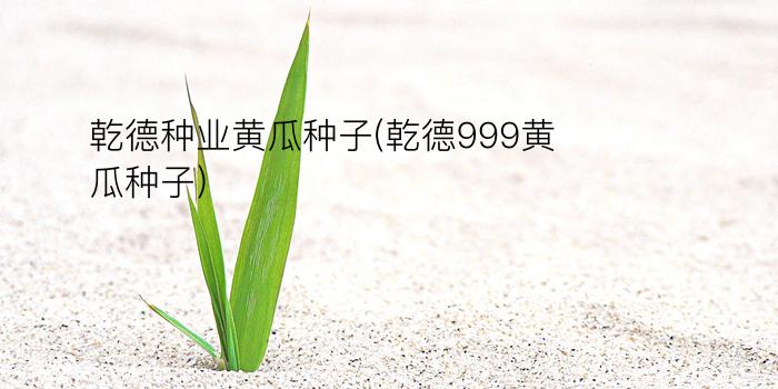 乾德种业黄瓜种子(乾德999黄瓜种子)