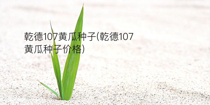 乾德107黄瓜种子(乾德107黄瓜种子价格)