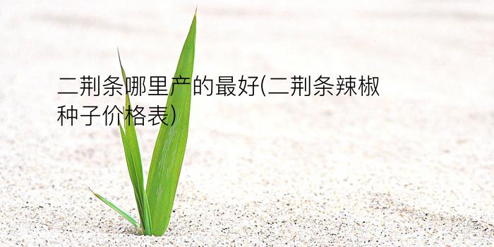 二荆条哪里产的最好(二荆条辣椒种子价格表)