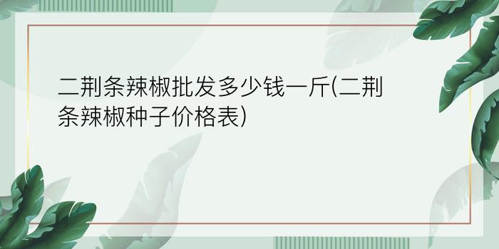 二荆条辣椒批发多少钱一斤(二荆条辣椒种子价格表)