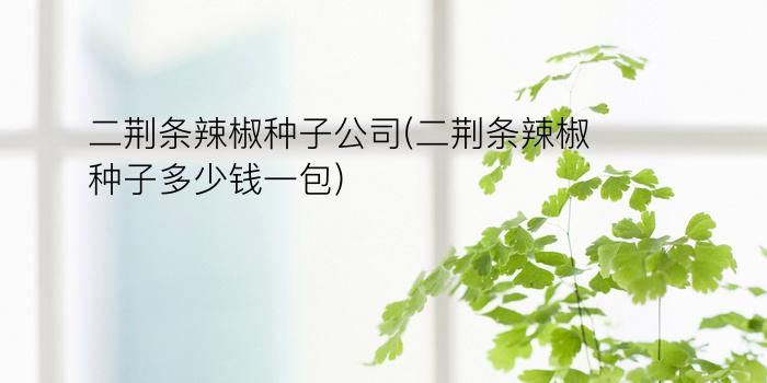 二荆条辣椒种子公司(二荆条辣椒种子多少钱一包)