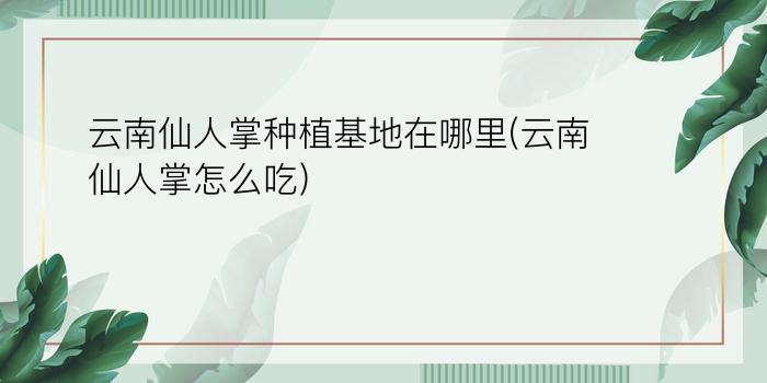 云南仙人掌种植基地在哪里(云南仙人掌怎么吃)