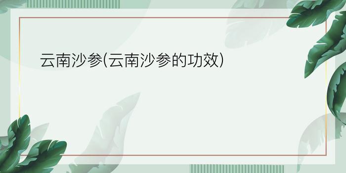 云南沙参(云南沙参的功效)