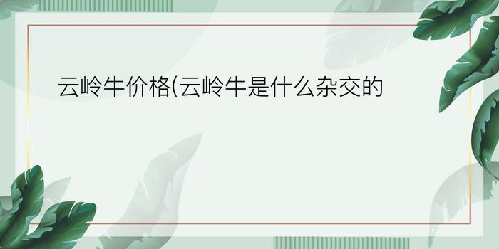 云岭牛价格(云岭牛是什么杂交的)