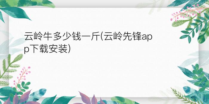 云岭牛多少钱一斤(云岭先锋app下载安装)