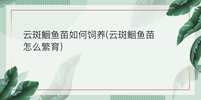 云斑鮰鱼苗如何饲养(云斑鮰鱼苗怎么繁育)