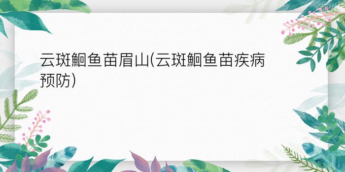 云斑鮰鱼苗眉山(云斑鮰鱼苗疾病预防)