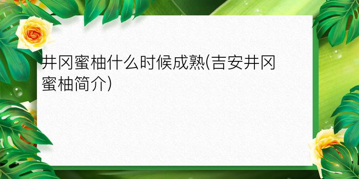 井冈蜜柚什么时候成熟(吉安井冈蜜柚简介)