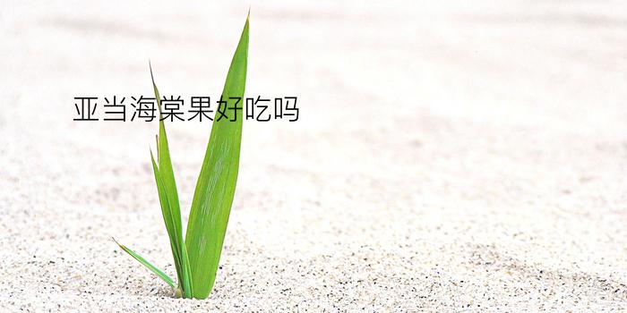 亚当海棠果好吃吗