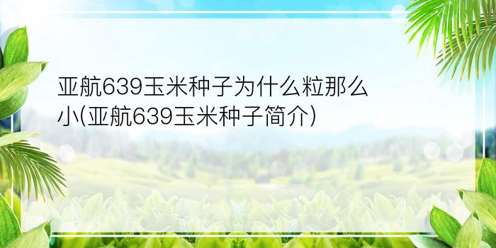 亚航639玉米种子为什么粒那么小(亚航639玉米种子简介)