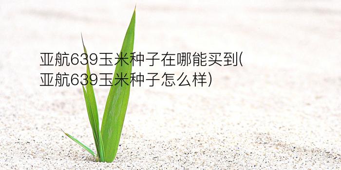 亚航639玉米种子在哪能买到(亚航639玉米种子怎么样)