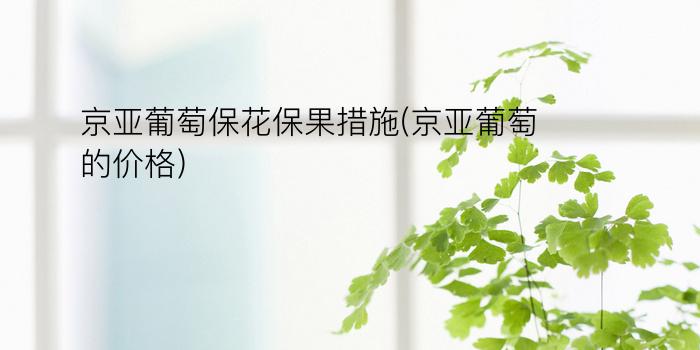 京亚葡萄保花保果措施(京亚葡萄的价格)