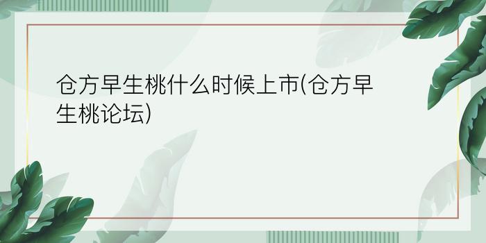 仓方早生桃什么时候上市(仓方早生桃论坛)