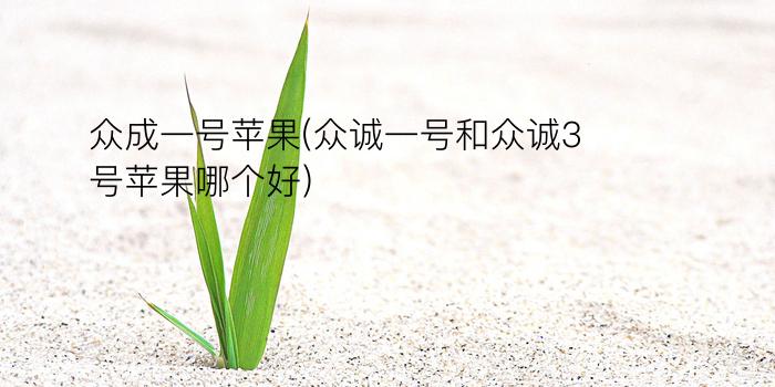 众成一号苹果(众诚一号和众诚3号苹果哪个好)