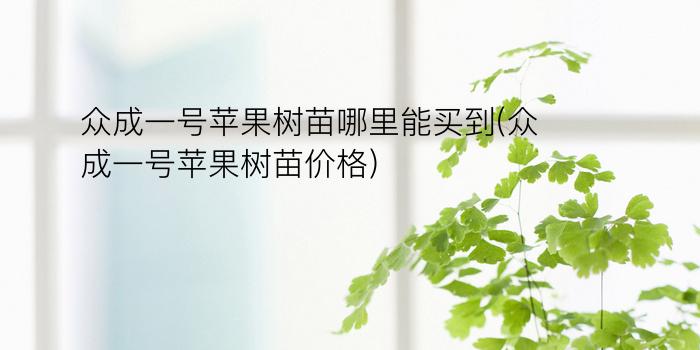 众成一号苹果树苗哪里能买到(众成一号苹果树苗价格)