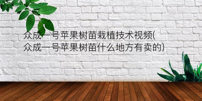 众成一号苹果树苗栽植技术视频(众成一号苹果树苗什么地方有卖的)