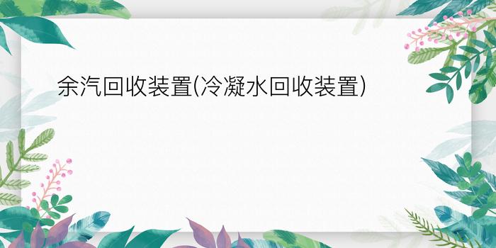 余汽回收装置(冷凝水回收装置)