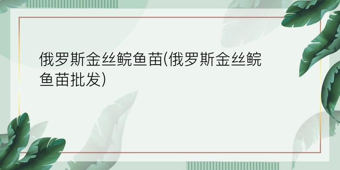 俄罗斯金丝鲩鱼苗(俄罗斯金丝鲩鱼苗批发)