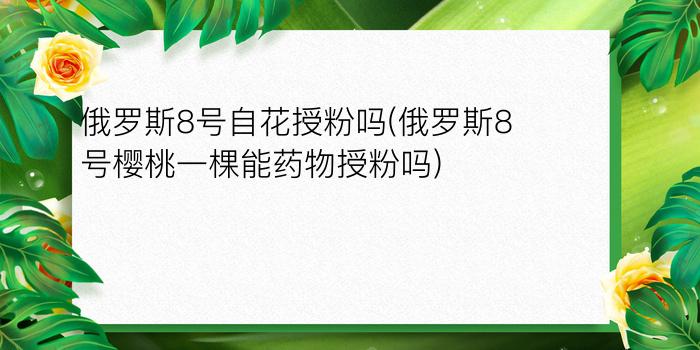 俄罗斯8号自花授粉吗(俄罗斯8号樱桃一棵能药物授粉吗)