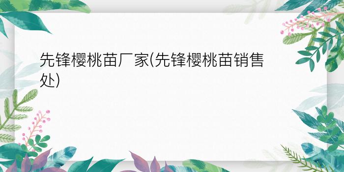 先锋樱桃苗厂家(先锋樱桃苗销售处)