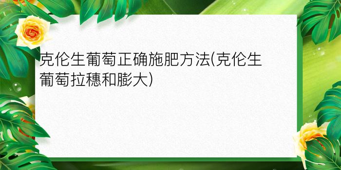 克伦生葡萄正确施肥方法(克伦生葡萄拉穗和膨大)