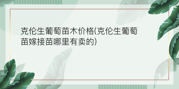 克伦生葡萄苗木价格(克伦生葡萄苗嫁接苗哪里有卖的)