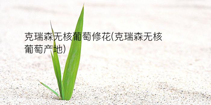 克瑞森无核葡萄修花(克瑞森无核葡萄产地)