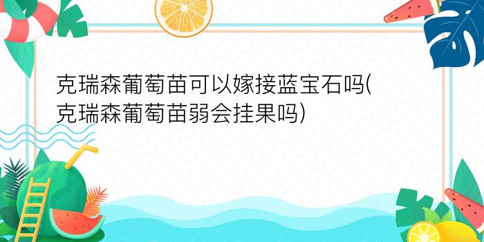 克瑞森葡萄苗可以嫁接蓝宝石吗(克瑞森葡萄苗弱会挂果吗)