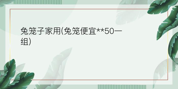 兔笼子家用(兔笼便宜**50一组)