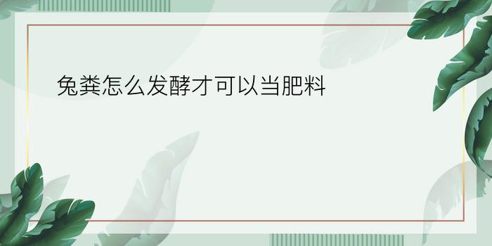 兔粪怎么发酵才可以当肥料