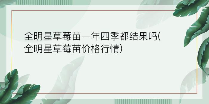 全明星草莓苗一年四季都结果吗(全明星草莓苗价格行情)