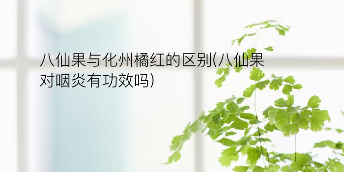 八仙果与化州橘红的区别(八仙果对咽炎有功效吗)